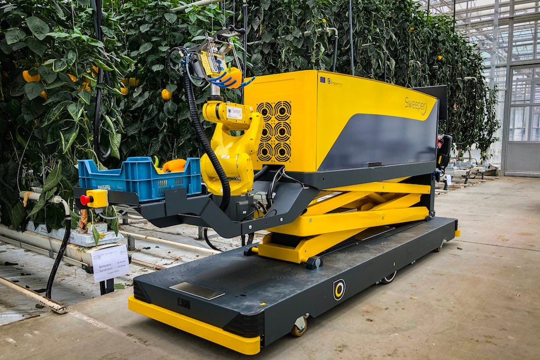 Sweeper machine in a greenhouse of fruit trees