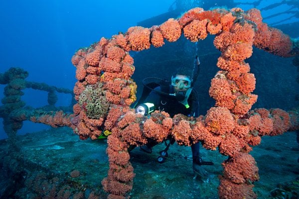 Scuba diver on shipwreck