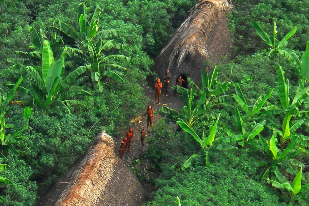 indigenous people brazil