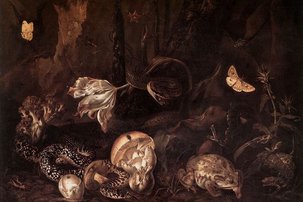 Otto Marseus van Schrieck - Stilleben mit Insekten und Amphibien, 1662