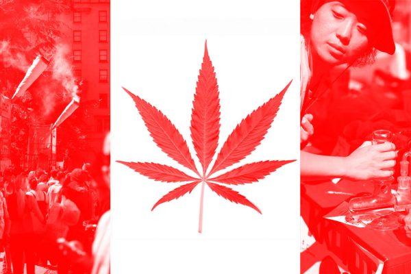 A Canadian flag with a pot leaf at its center
