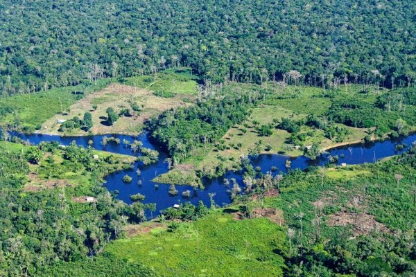 Aerial view of the Amazon Rainforest