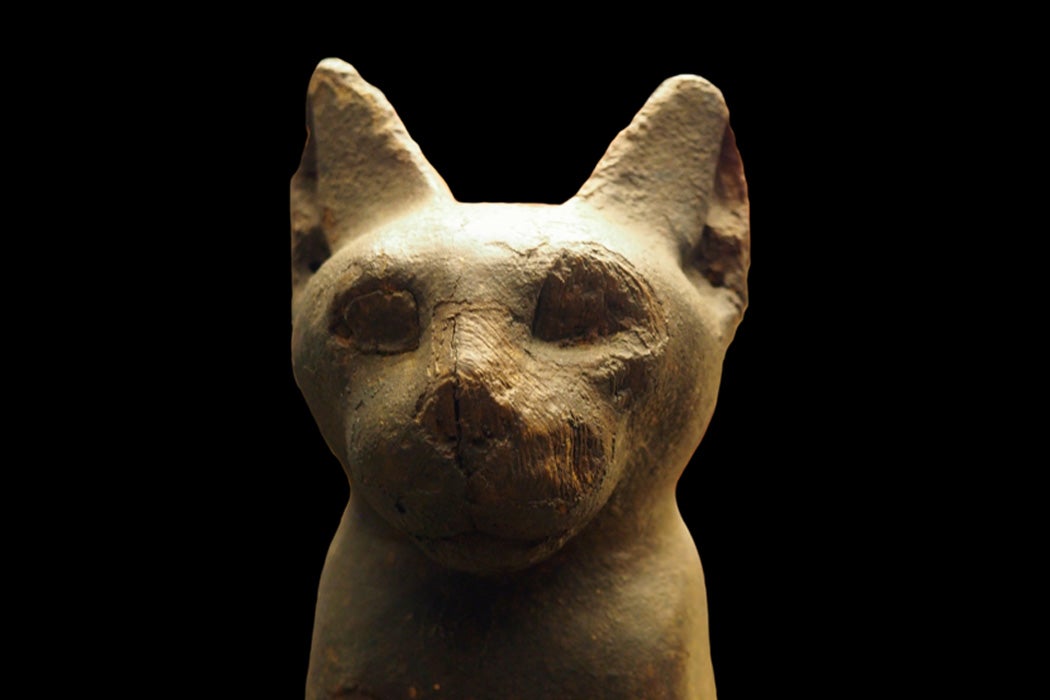 Why Ancient Egyptians Loved Cats So Much Jstor Daily