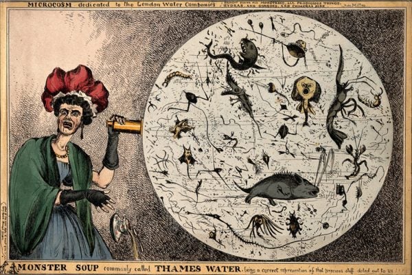 A woman dropping her tea-cup in horror upon discovering the monstrous contents of a magnified drop of Thames water