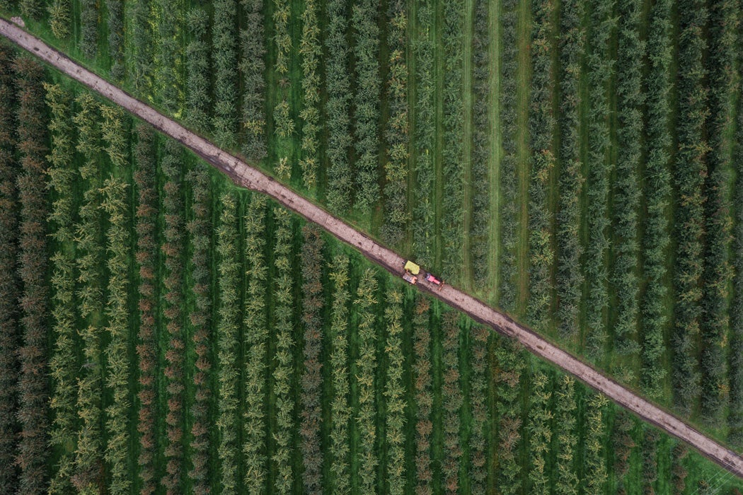 A birds-eye view of a farm.