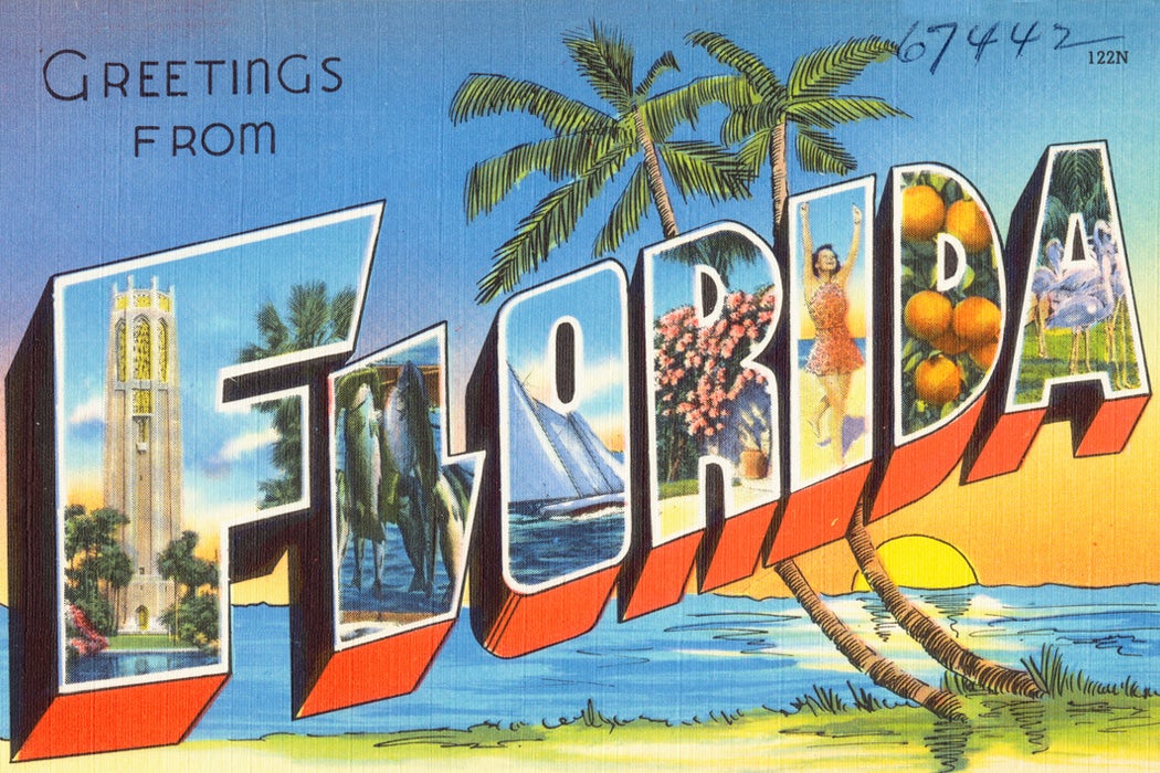 A Florida postcard