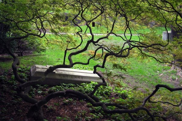 Grave site of American botanist Asa Gray (1810-1888), in Mount Auburn Cemetery, Cambridge, Massachusetts