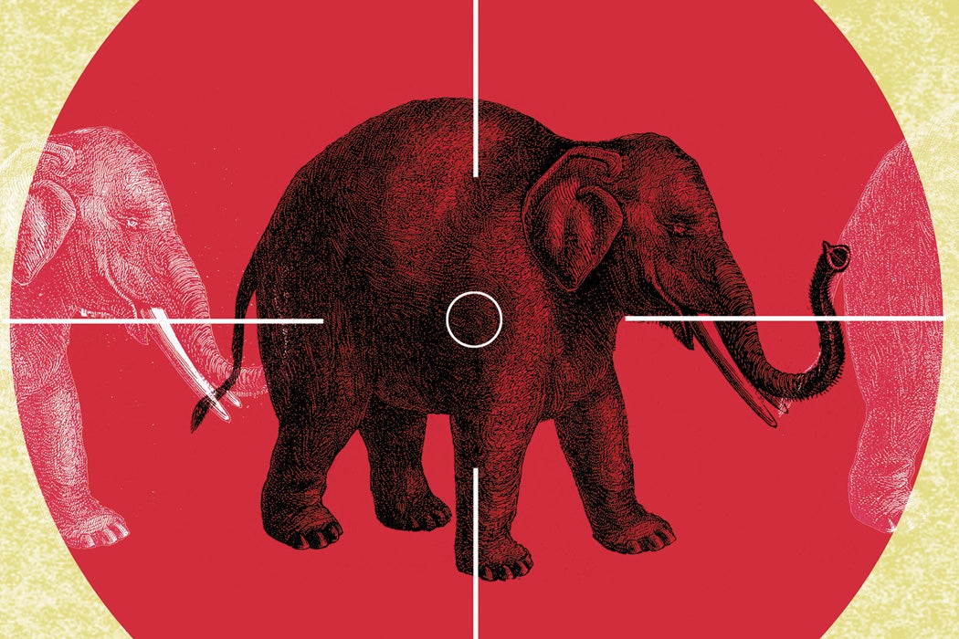An illustration of an elephant between crosshairs