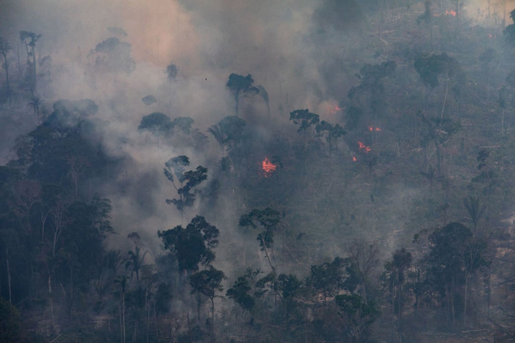 A fire burns in a section of the Amazon rain forest on August 25, 2019 in the Candeias do Jamari region near Porto Velho, Brazil