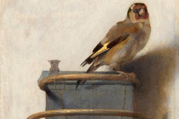 The Goldfinch by Carel Fabritius, 1654