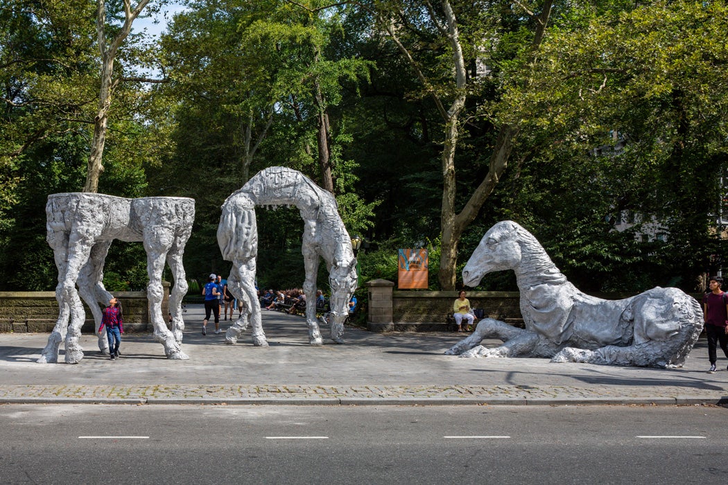 The Horses, 2019