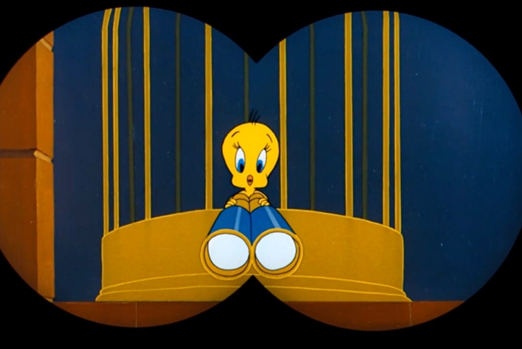 The Tweety Bird Test Jstor Daily