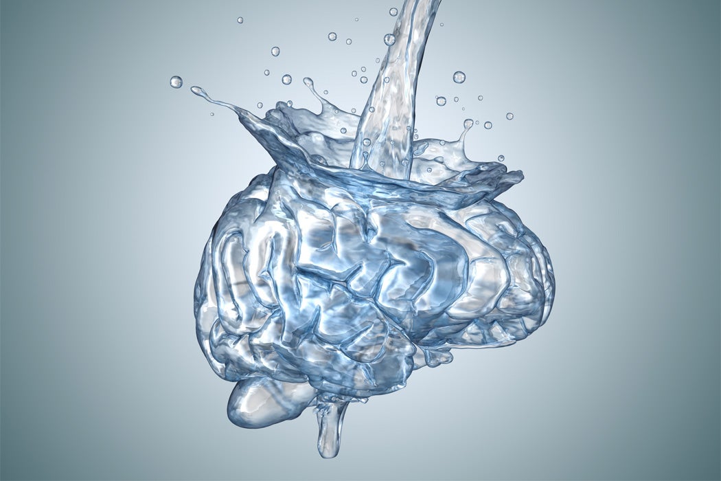 Water being poured into a brain