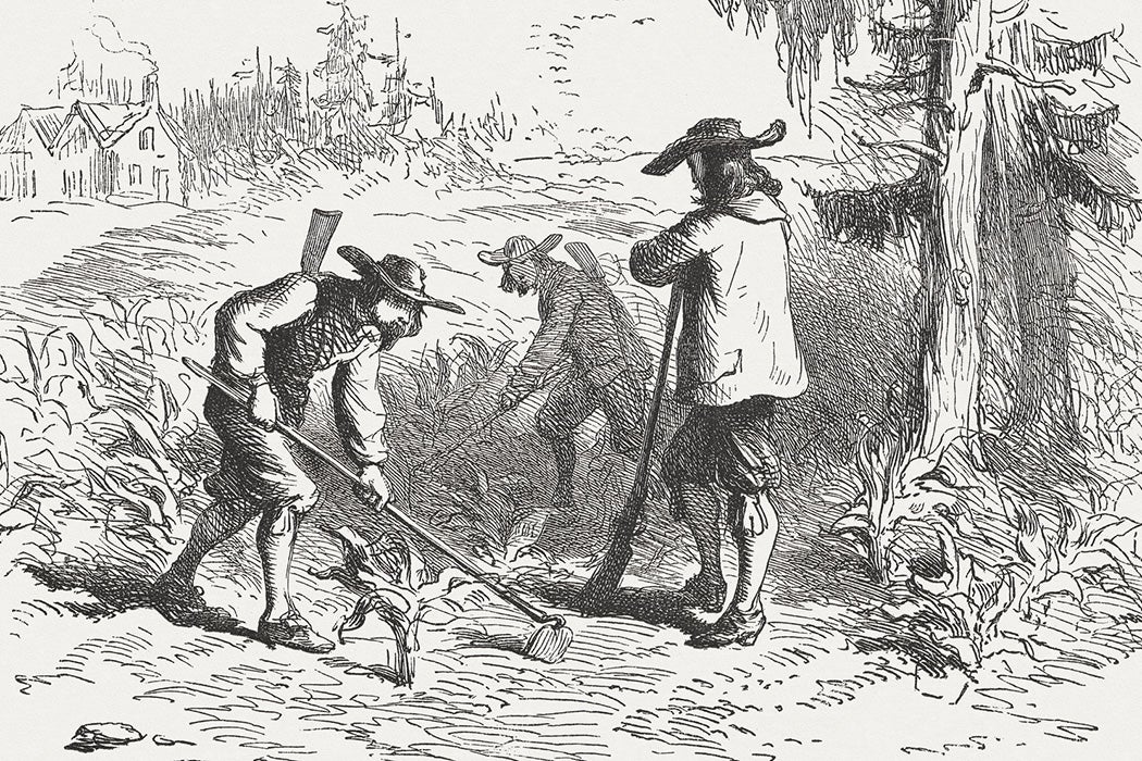 How Conservation Is Shaped By Settler Colonialism JSTOR Daily