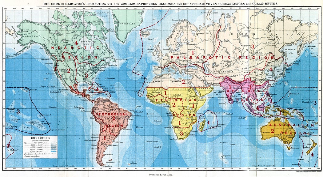 World map showing the zoogeographical regions by Alfred Russel Wallace