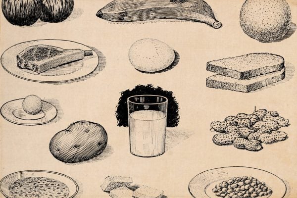 An early 20th century drawing of different foods