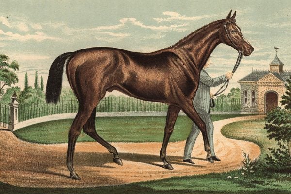 1881: Champion racehorse Iroquis, winner of the 1881 Derby under Fred Archer and property of P Lorillard.