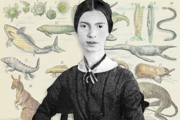 A portrait of Emily Dickinson in front of an evolutionary illustration