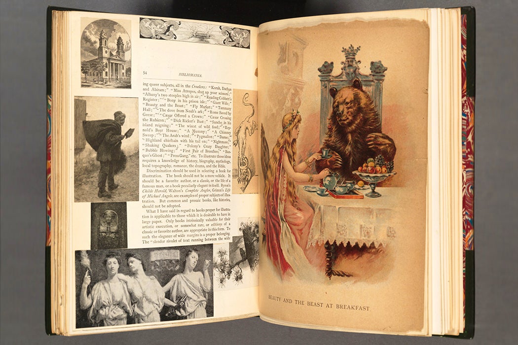 Irving Browne, Iconoclasm and Whitewash. New York, 1886. Illustrated by the author. The Huntington Library, Art Museum, and Botanical Gardens.