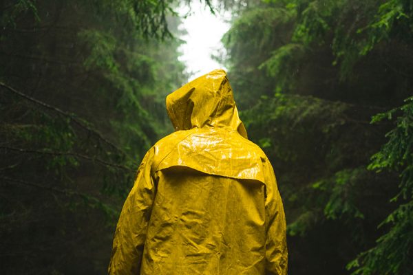 Rear View Of Man Wearing Yellow Raincoat In Forest During Rain