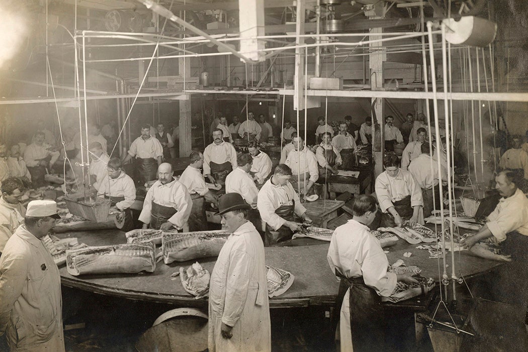 Cudahy Packing Co, Omoha, Nebraska, 1910
