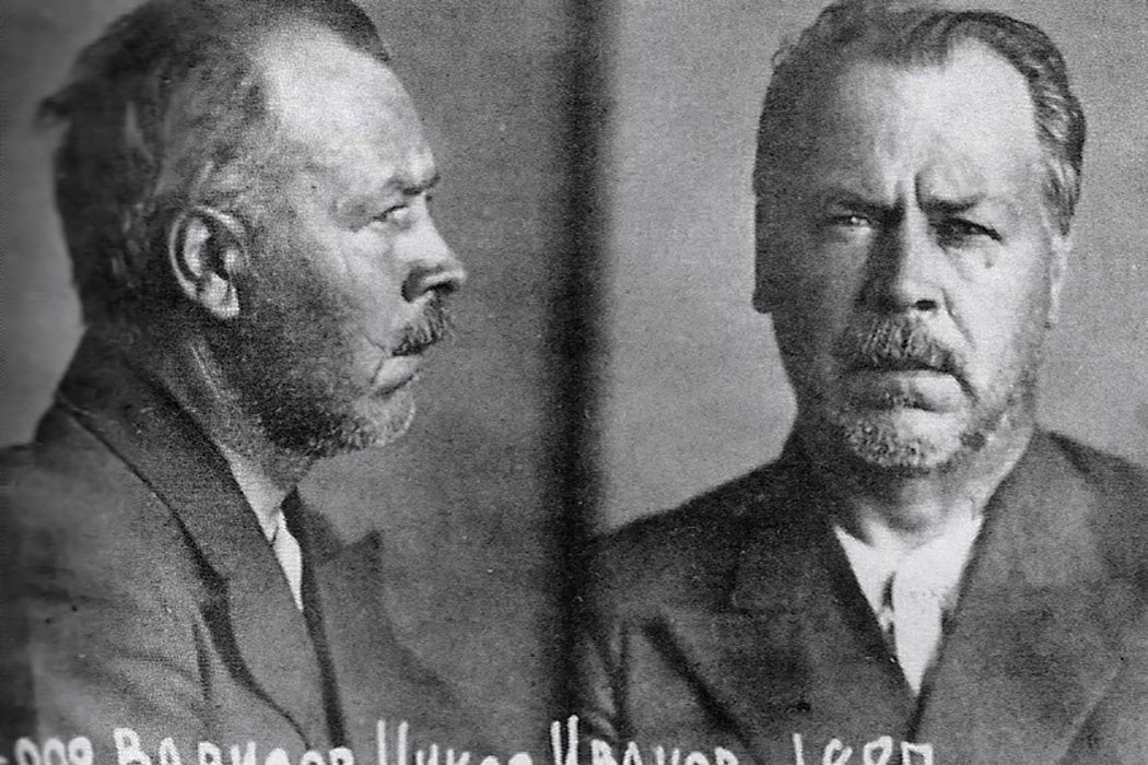 Nikolai Vavilov in prison