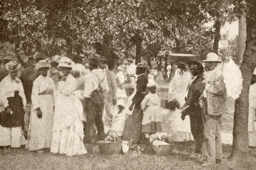 A Fourth of July picnic, possibly in South Carolina, 1874, by J. A. Palmer