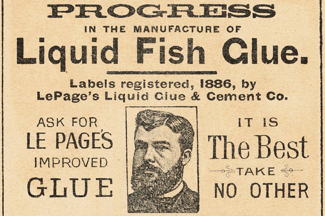 A 19th century advertisement for fish glue