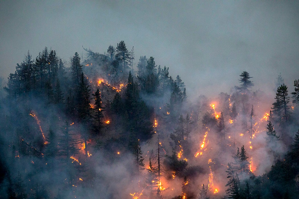 The Bobcat Fire burns through the Angeles National Forest on September 11, 2020 north of Monrovia, California.