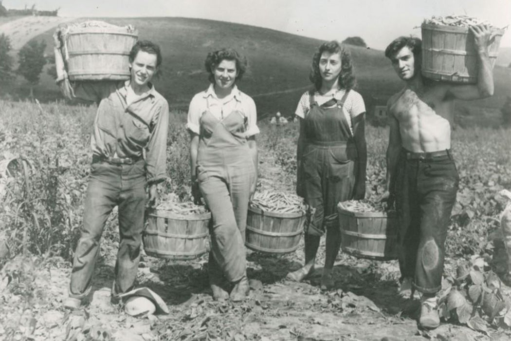 Four top pickers holding barrels of beans. Morrisvile. 1943.