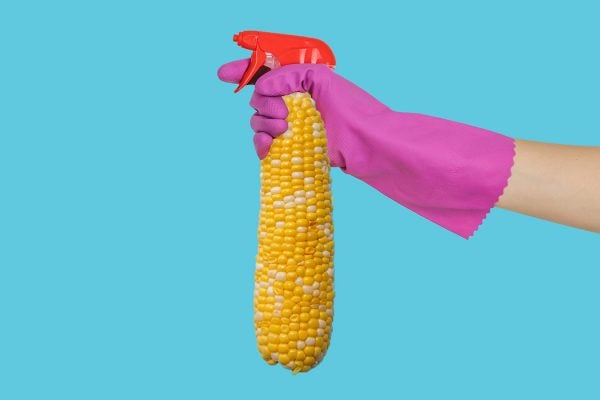 A hand holding a corn cob with a spray nozzle on its top