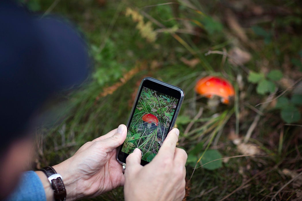 iNaturalist and Crowdsourcing Natural History - JSTOR Daily