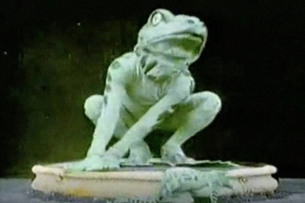 A film still from The Frog