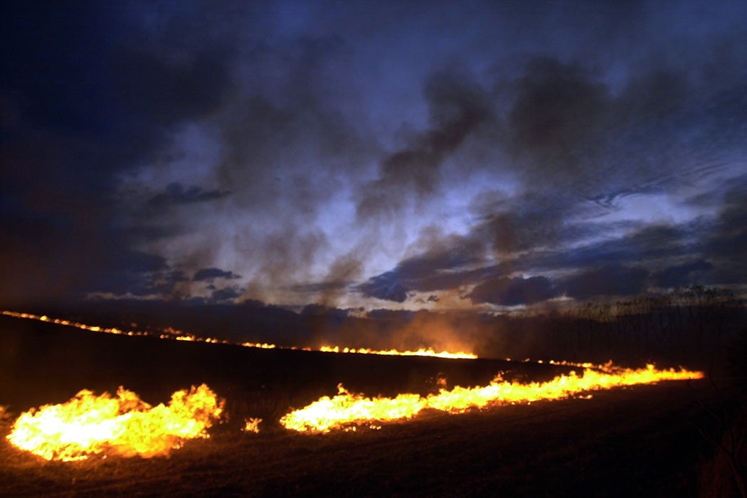 fire lights the hills from a controlled burn off of maize stubble on a farm property at Makikihi in South Canterbury, South Island, New Zealand.