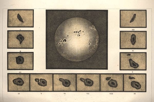 An illustration of sunspots from between 1885 and 1890