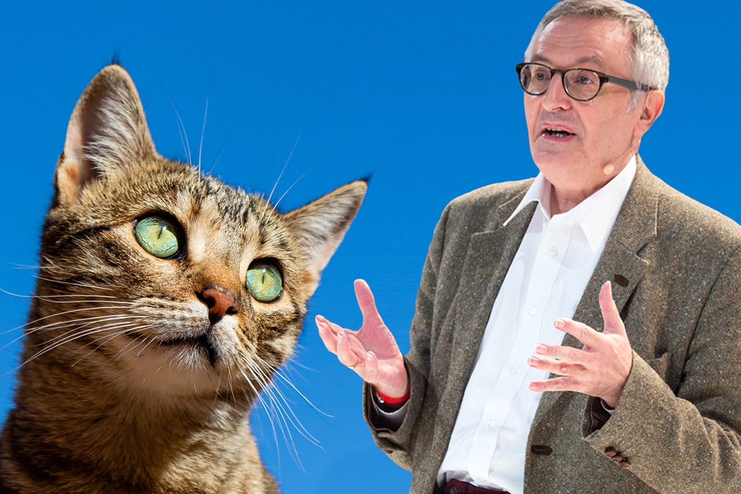 Philosopher John Gray beside a cat