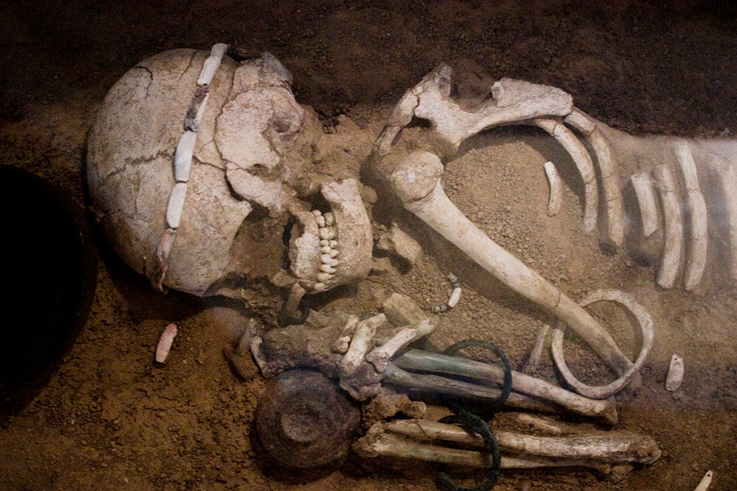 Sofia, a skeleton from the Durankulak Necropolis