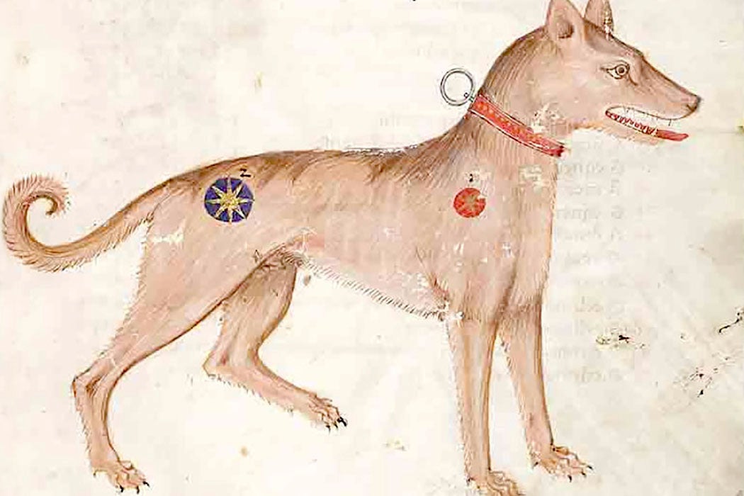 Medieval illumination of a dog, 14th century, from a Codex in the Czech Republic
