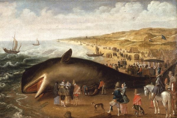 A beached whale painting