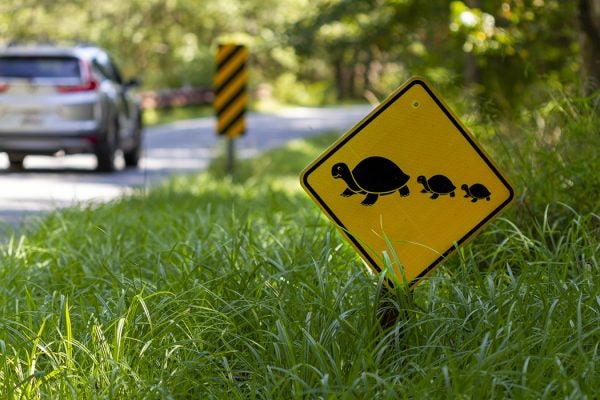 A road sign at a wildlife refuge that warns the drivers of turtles crossing the road.