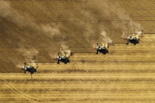 Dust rising from combine during crop harvesting