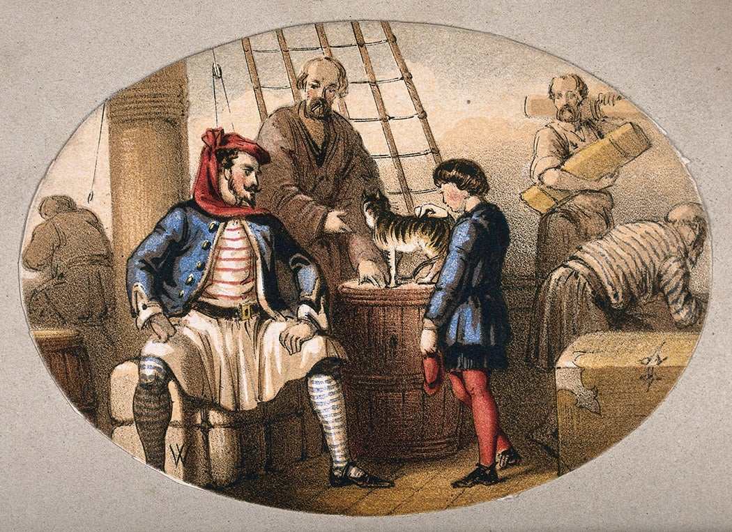 A young boy and his cat are on a pirate ship