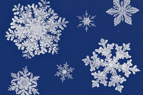 Photographs of white snowflakes on a dark blue background.
