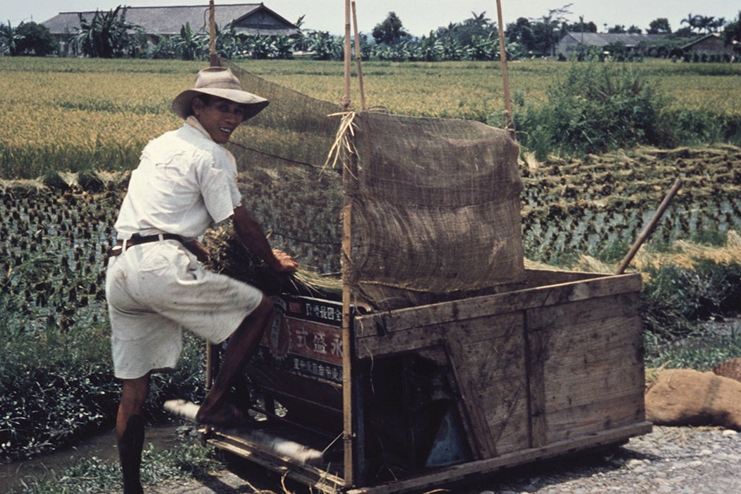 A rice farmer with a handcart in Pingtung County, Taiwan, circa 1965.