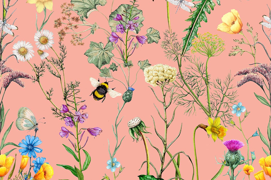 An illustration of flowers and weeds