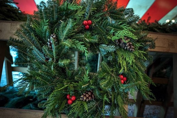 A christmas wreath
