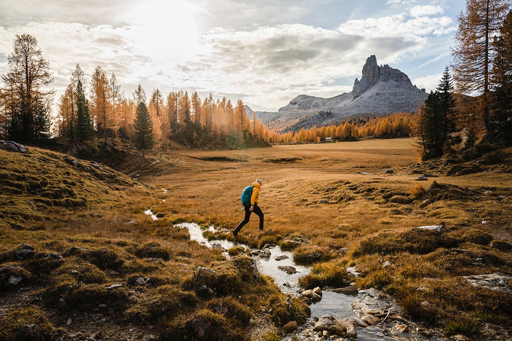 Trail Off Meaning In English