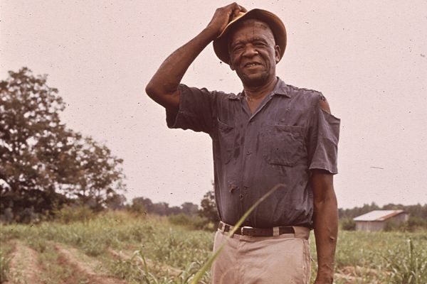A farmer in Louisiana, 1972