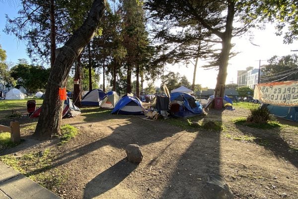 Peoples Park in Berkeley on April 1 2021
