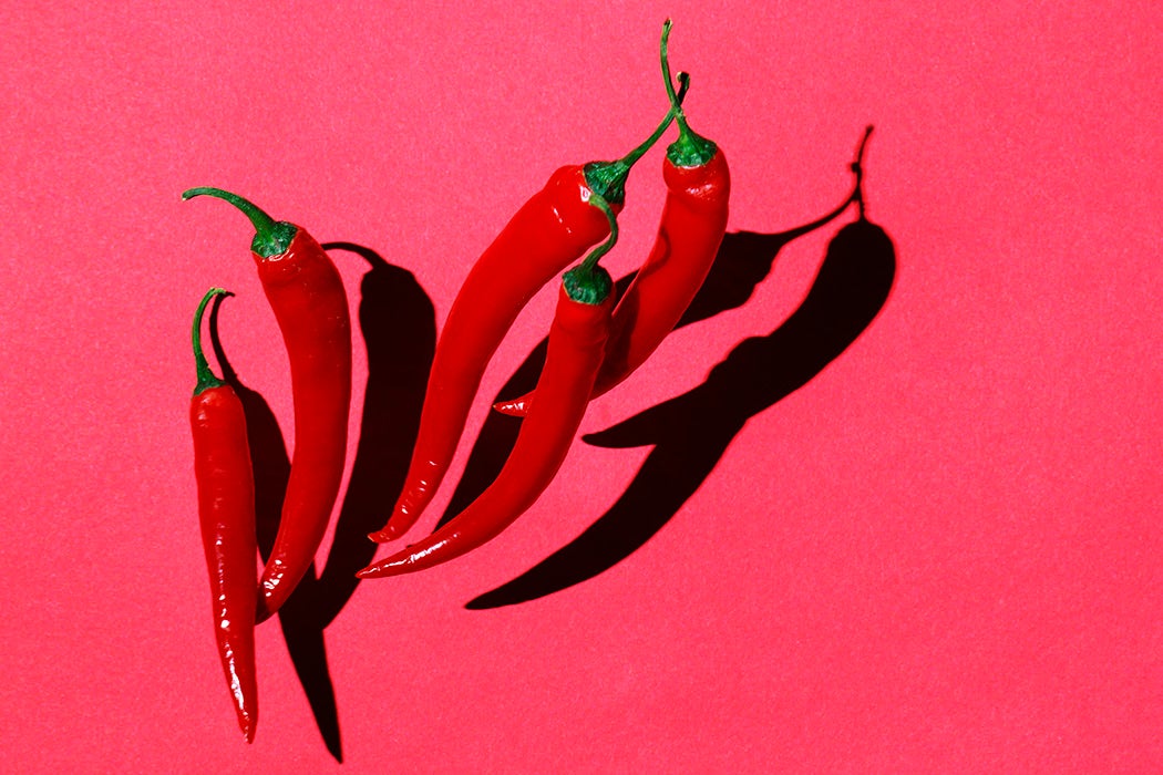 Red chilli peppers photographed on red backdrop